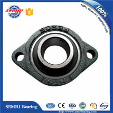 Ucfl Bearing Pillow Block Bearing with 2-Bolt Flange Bearings (UCFL201)